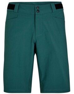 NIW X-FUNCTION man (shorts) spruce green