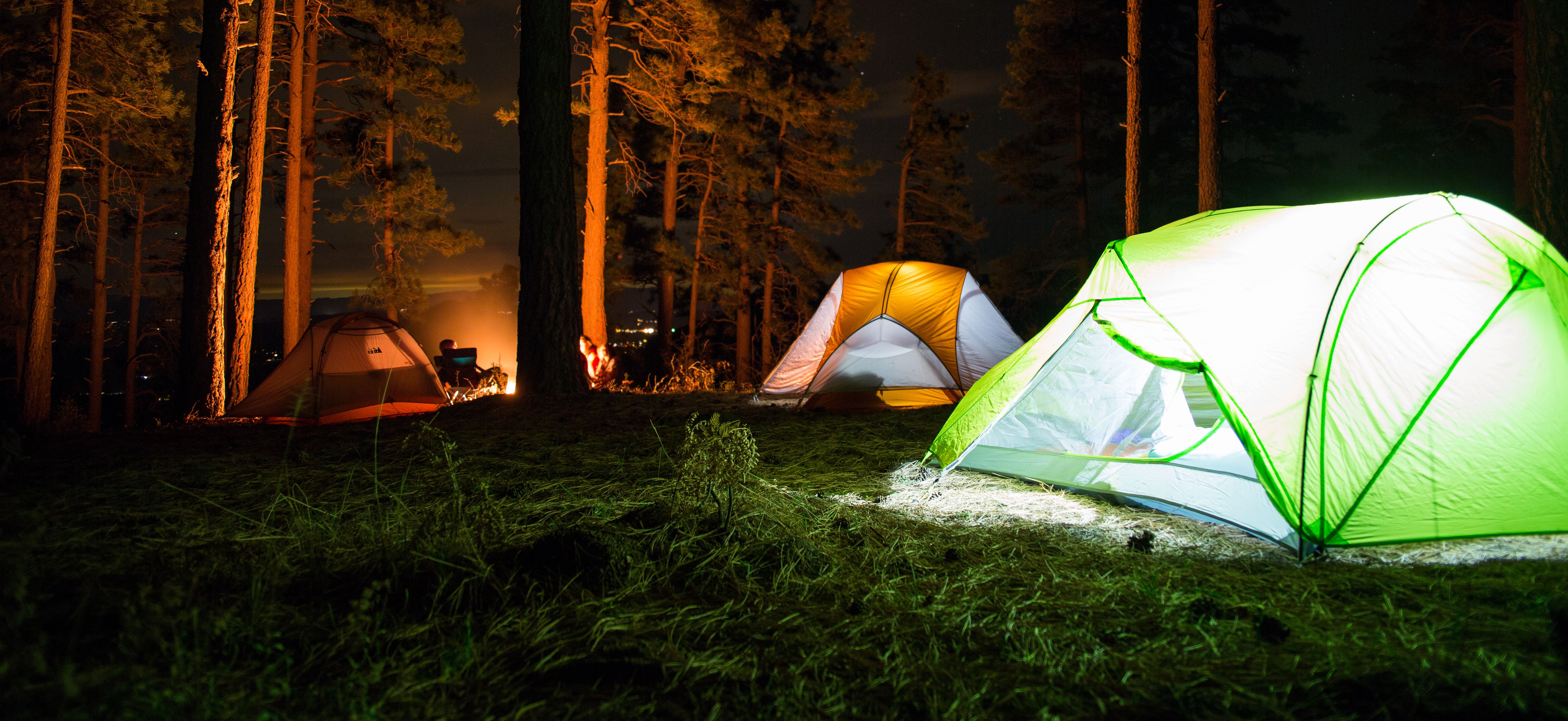 Ideal für Zuhause Tägliche Reise Outdoor Camping Sport Laufen Wandern WLGREATSP Zahnbürstenabdeckung Zahnbürstenkopf Tragbare Kunststoff Schutzabdeckung